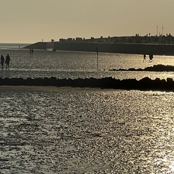 Nordfriesland / Hamburg 2023